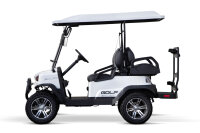 Golf Cart 5kW inkl. 7,4 kW/h - 48V 155Ah Batterien