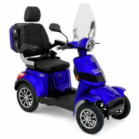 E-Quad 25 V.3 PREMIUM Lithium-Akku, 1000Watt, 25 km/h EEC