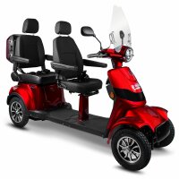 E-Quad 25 V.3 DUO PREMIUM Lithium-Akku, 1000Watt, 25 km/h...
