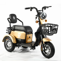 Wagner Mobility S1000 - ETrike - ElektroRoller - E-Mobil-...