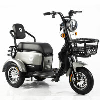 Wagner Mobility S1000 - ETrike - ElektroRoller - E-Mobil- 3-Rad 6 kmh