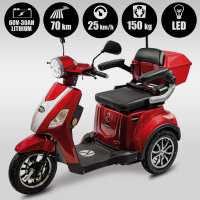 E-Trike 25 V.2 Blei-Gel, 25 km/h EEC