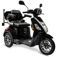 E-Trike 25 V.2 Blei-Gel, 25 km/h EEC