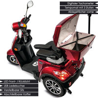 E-Trike 25 V.2 Blei-Gel, 25 km/h EEC