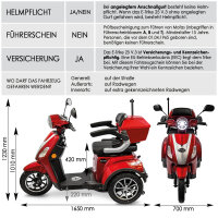 E-Trike 25 V.2 Blei-Gel, 25 km/h EEC