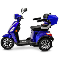 E-Trike 25 V.2 Blei-Gel, 25 km/h EEC