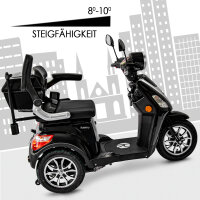 E-Trike 25 V.2 Blei-Gel, 25 km/h EEC