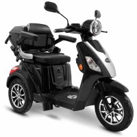 E-Trike 25 V3 30AH Lithium Akku 1000 Watt EEC